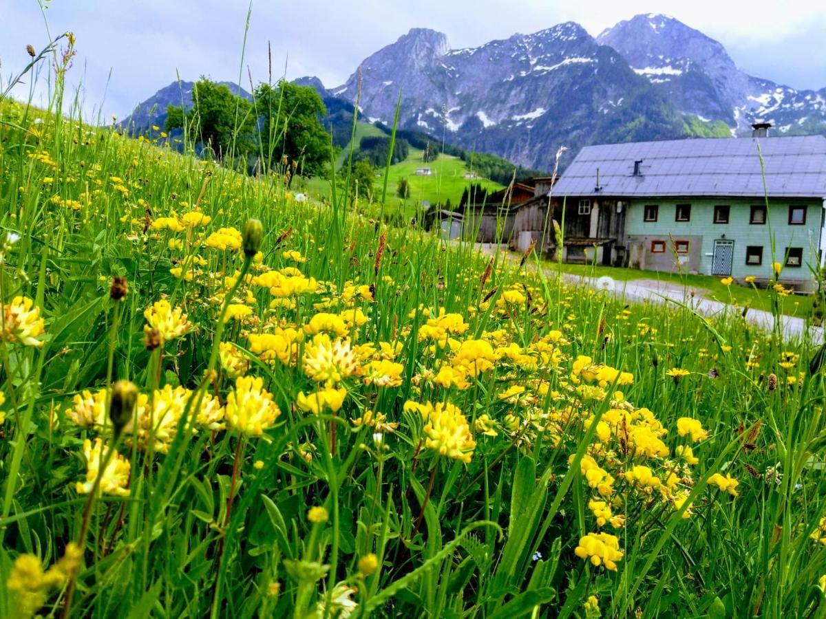 Villa Edelweiss - 3 To 6 Guests - Private Use Of Indoor Pool, Sauna And Garden Terrace Abtenau Buitenkant foto