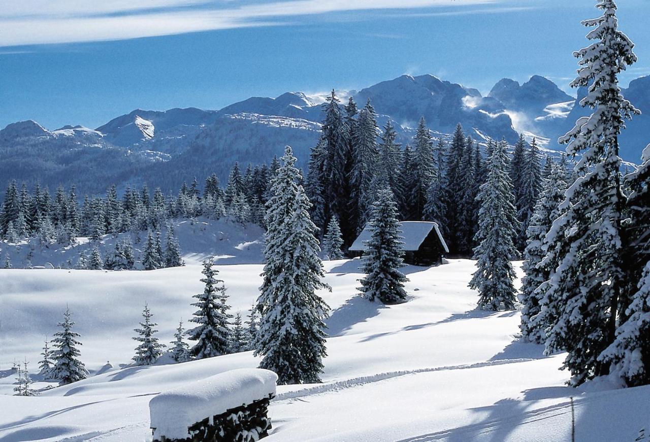 Villa Edelweiss - 3 To 6 Guests - Private Use Of Indoor Pool, Sauna And Garden Terrace Abtenau Buitenkant foto